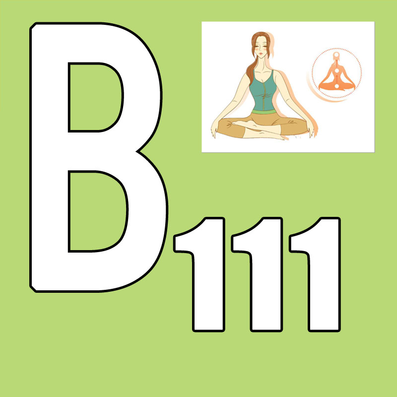 핫세일 최신 출시 2026.Q1 신규 코스 BB 111 - Pilates Yoga Taichi 리뷰 및 가격